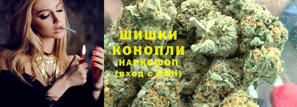 PSILOCYBIN Балабаново
