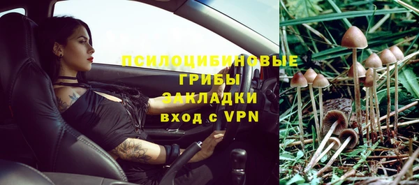 PSILOCYBIN Балабаново