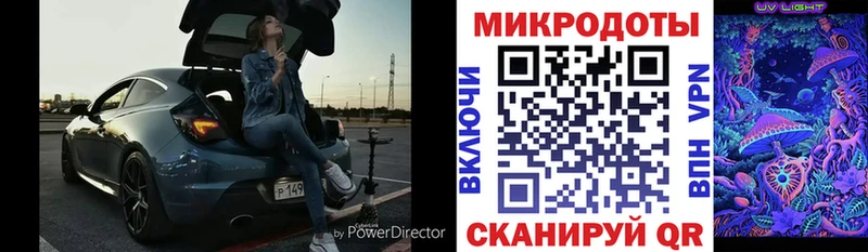Псилоцибиновые грибы Psilocybine cubensis  Теберда 